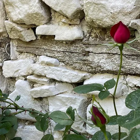 Albanian Traditional House In *